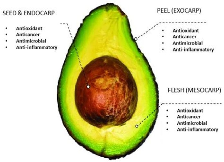Is avocado peel poisonous