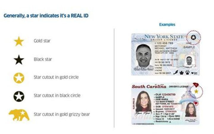 What documents do I need to fly domestically