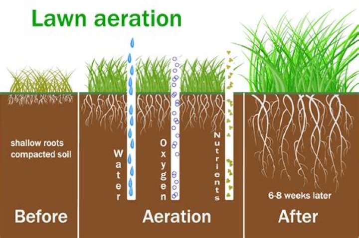 When Should I aerate my lawn UK