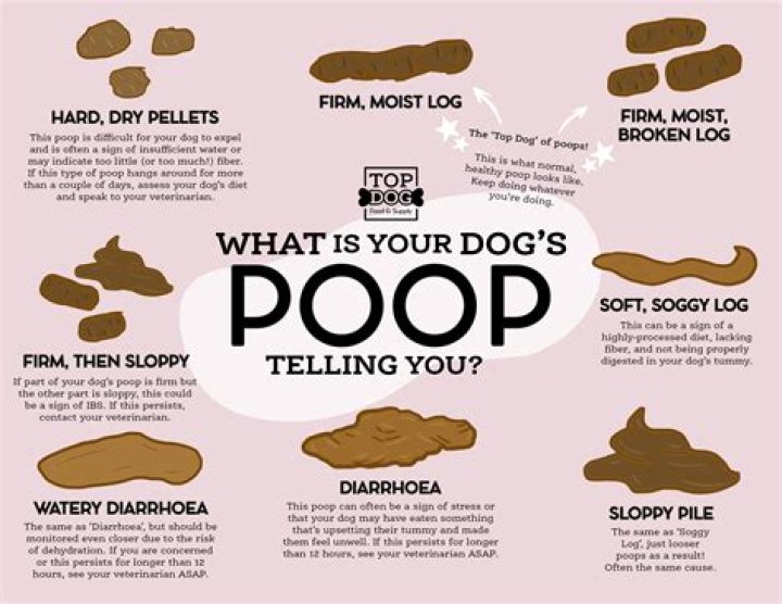 Why do plums make you poop
