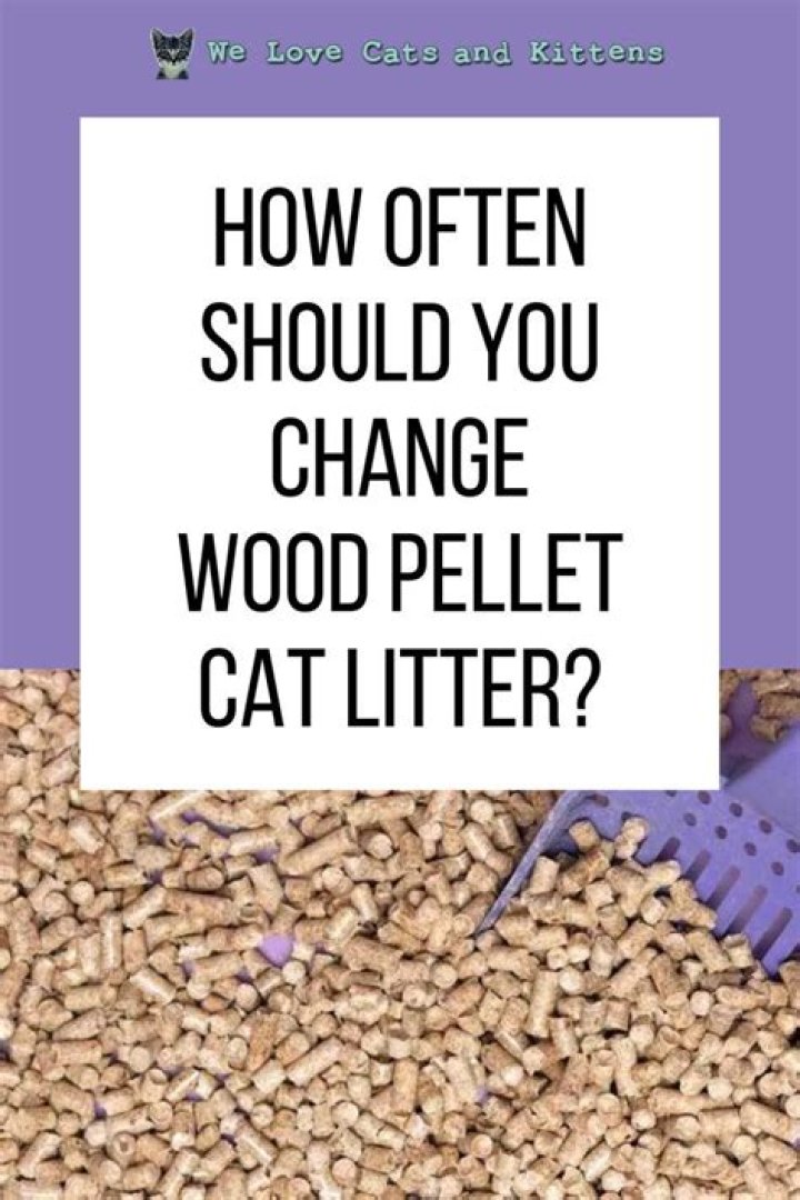 Will Drano dissolve cat litter